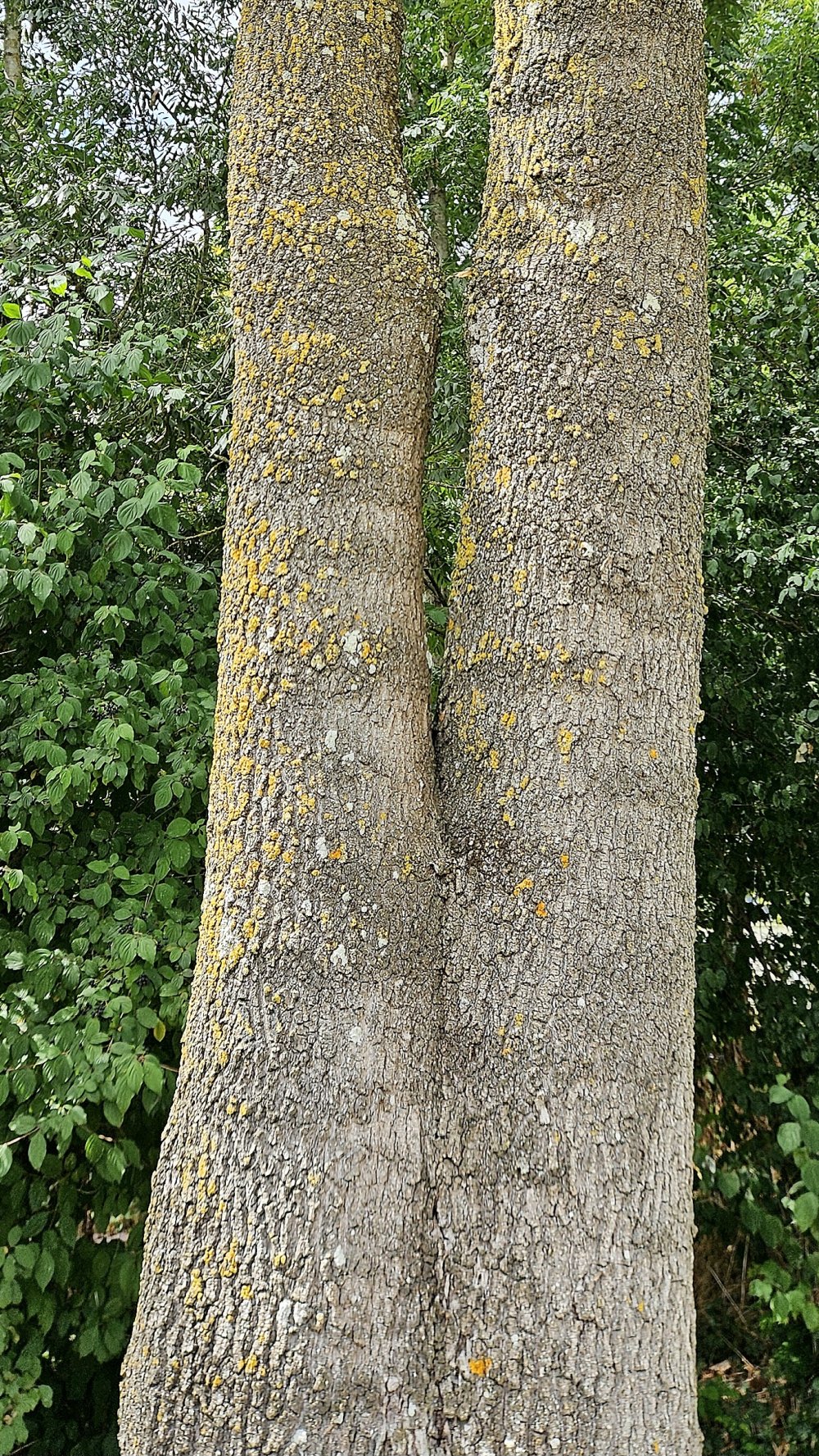 À deux doigts de