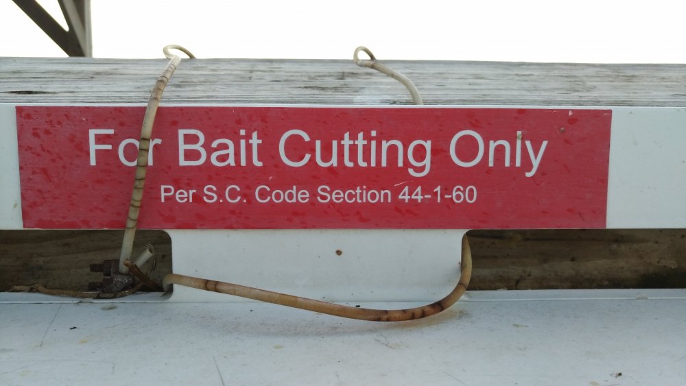 bait cutting only