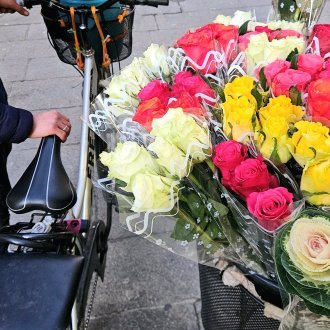 Galanterie presque surannée (2026)