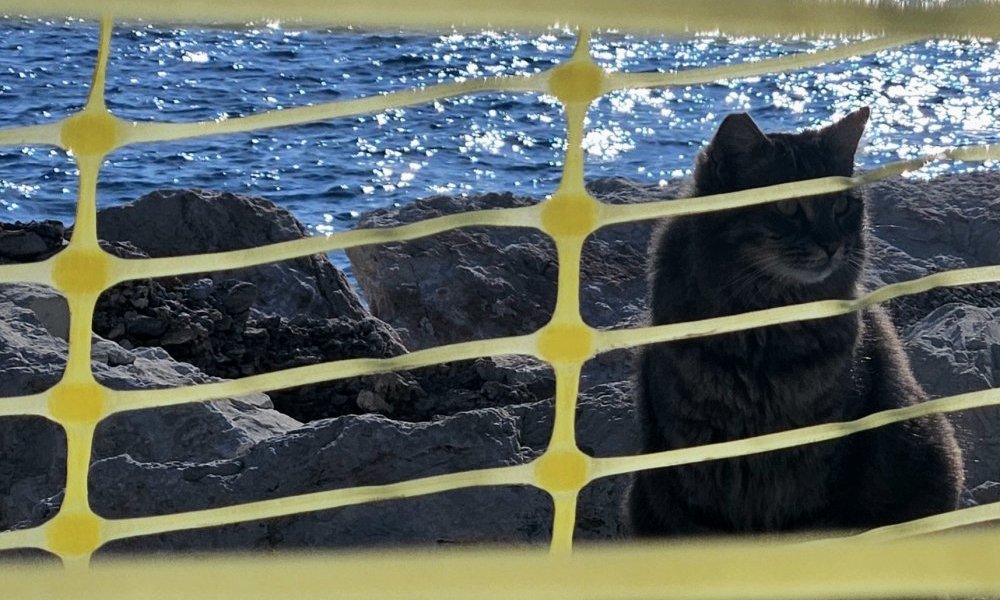 Étrange intrication