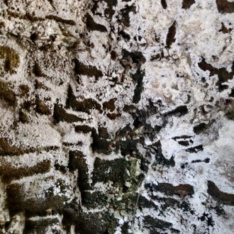 Rester hors de portée d'une surveillance sourcilleuse et puritaine