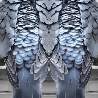 Mariage de la carpe et du lapin