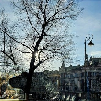 Triste et beau, sous son hallier, Le cerf rêve d'antan