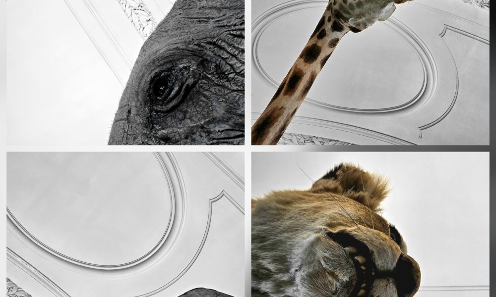 Tendu vers l'essence de son identité