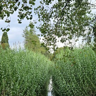 Finir n'est rien, tout éternellement commence.