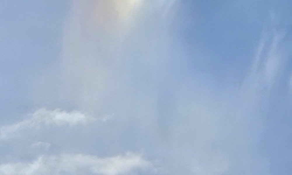 S'exercer à la gratitude