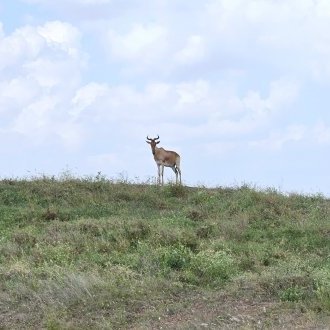 Dans l'ascèse et la solitude