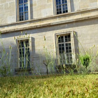 Redoubler d'humilité