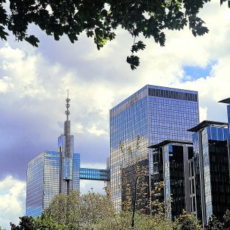 Délicate guipure des flèches des lagunes