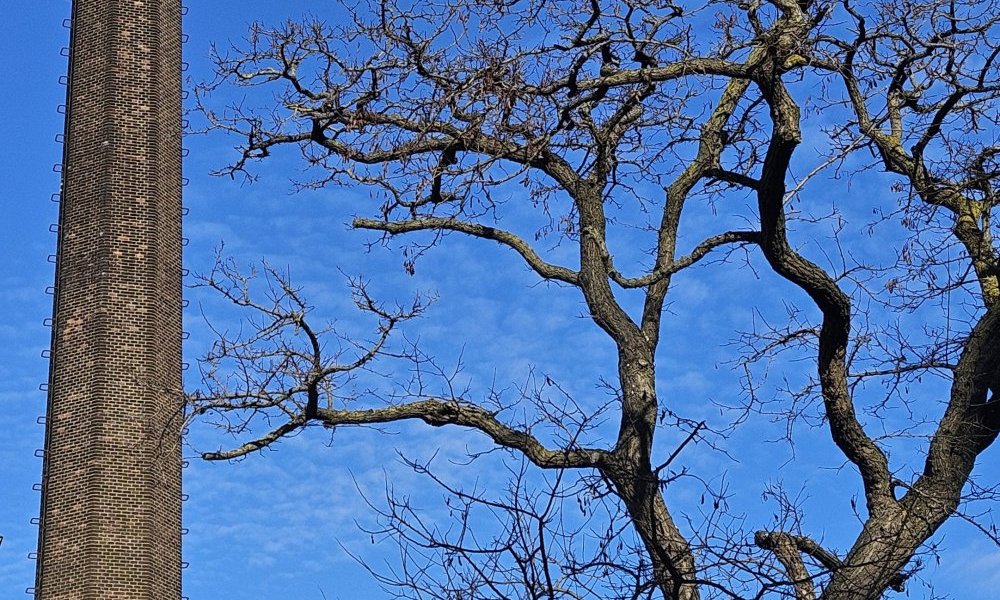 Se raidir de déplaisir