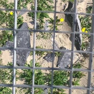 This is not my first prison break