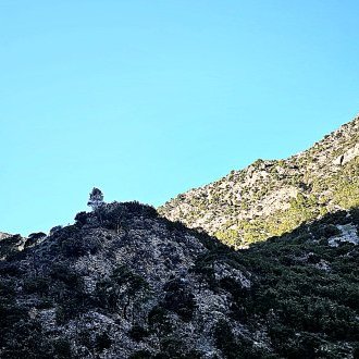 Qu'on est toujours tout seul au monde