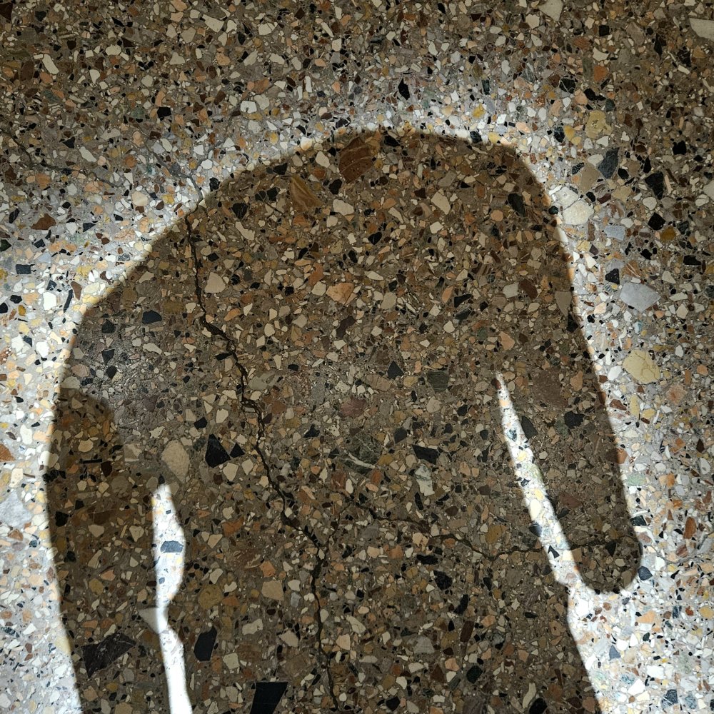 Écorché de divots arrachés comme des lambeaux de chair