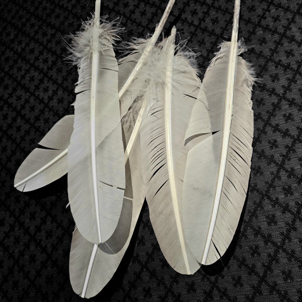 Ne pas avoir peur d'être en désaccord