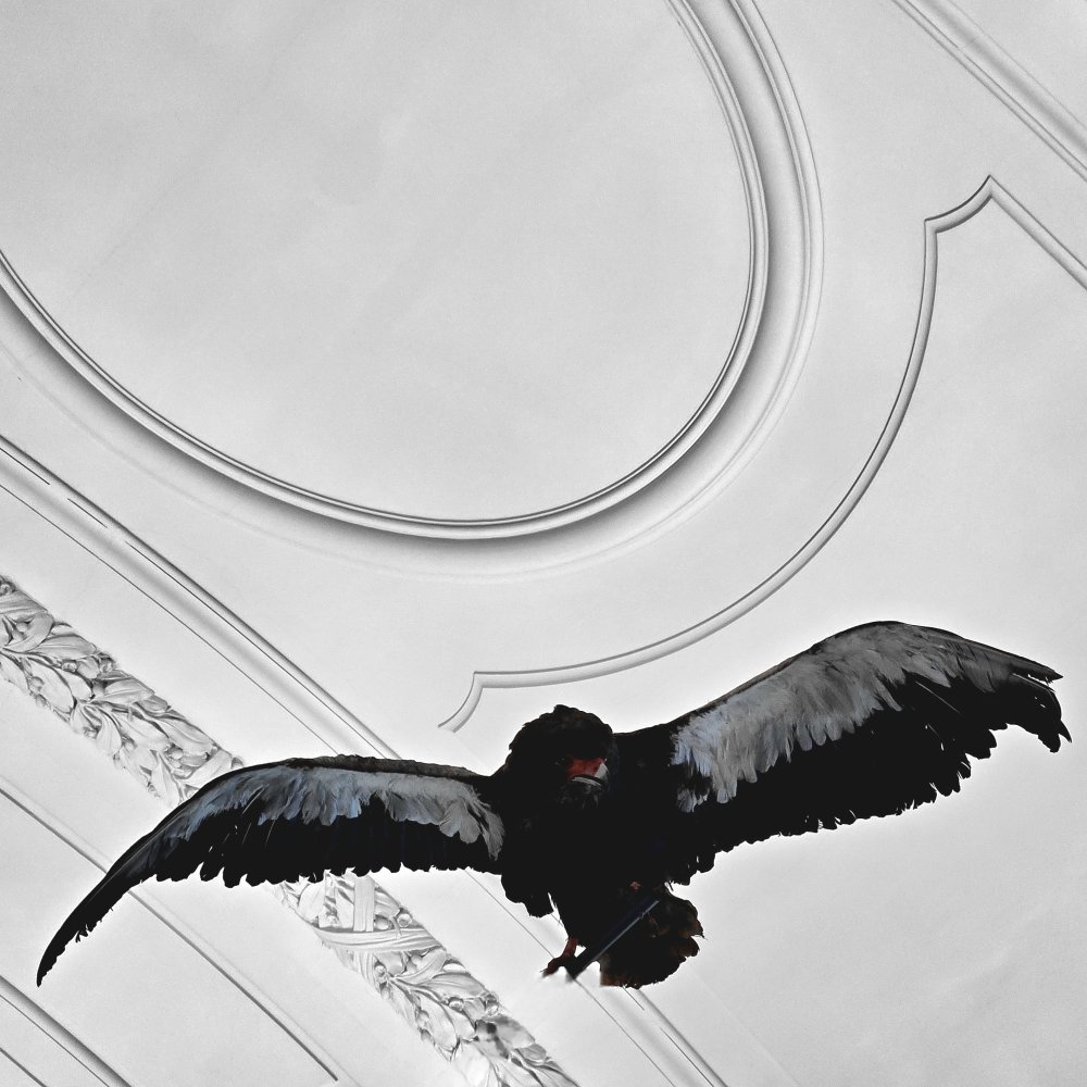 Tendu vers l'essence de son identité