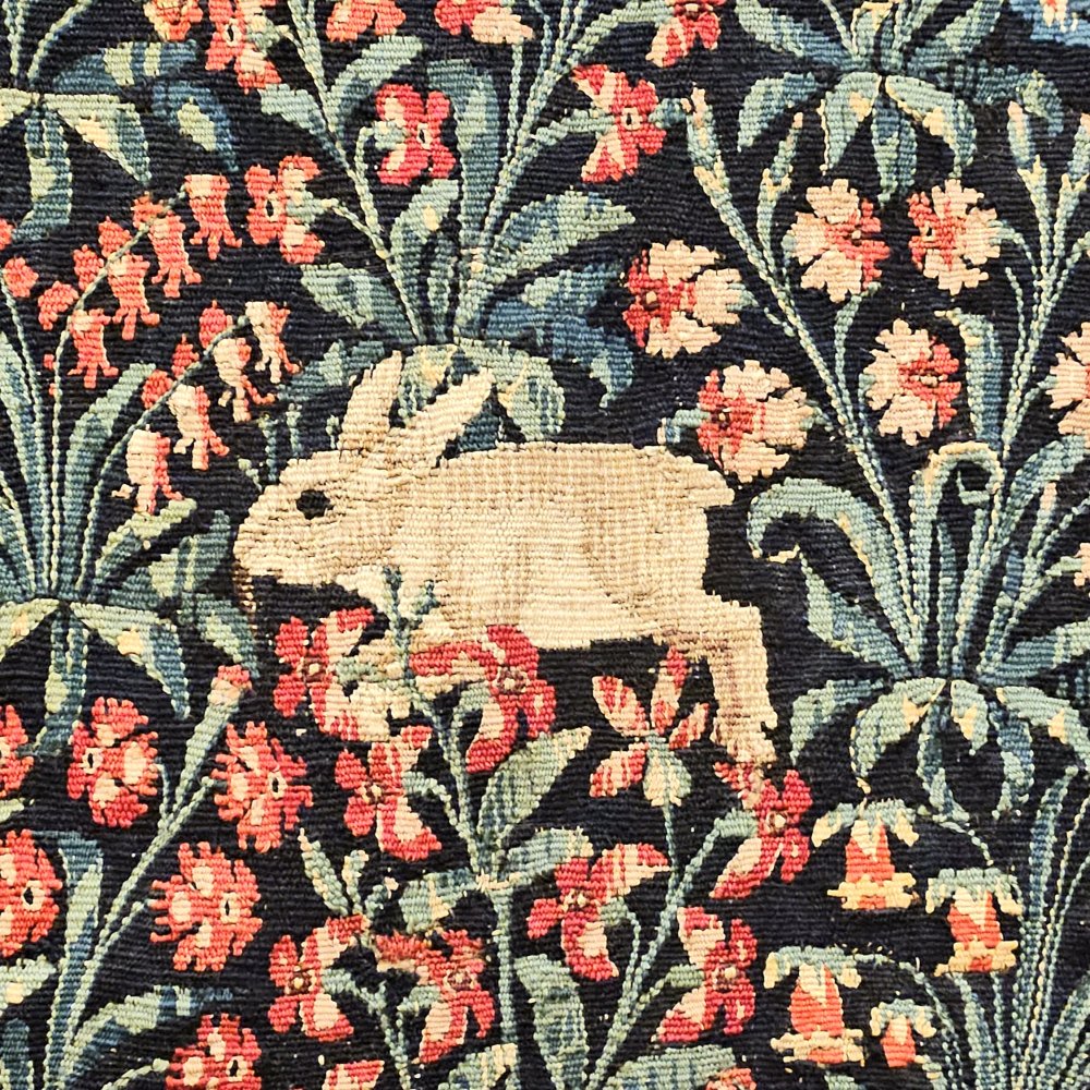 Lapin de corridor