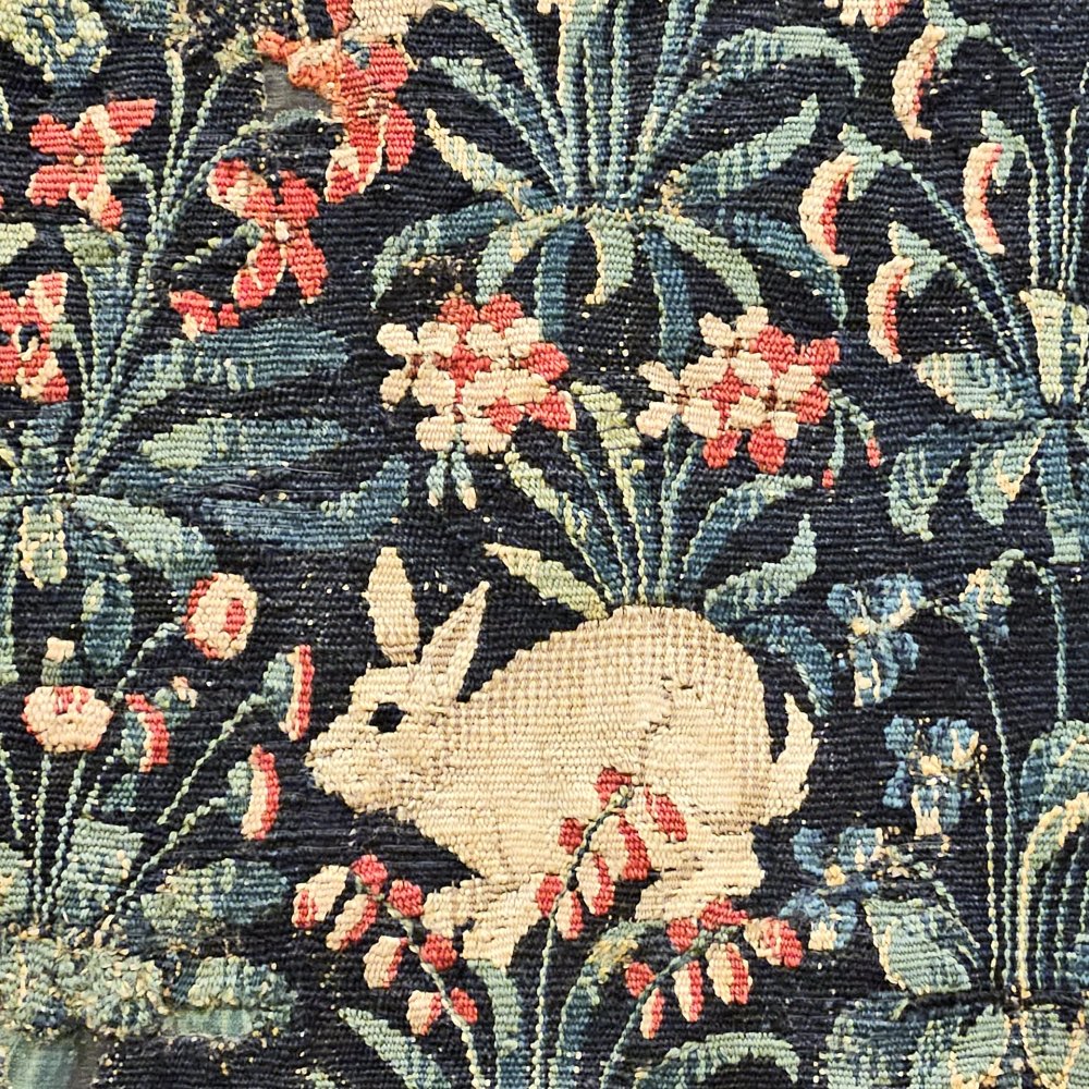 Lapin de corridor