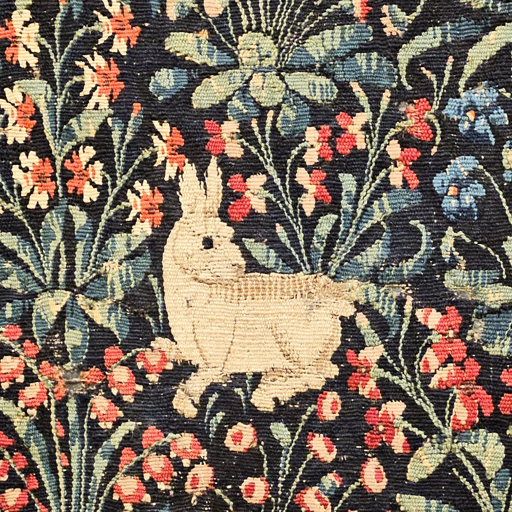 Lapin de corridor