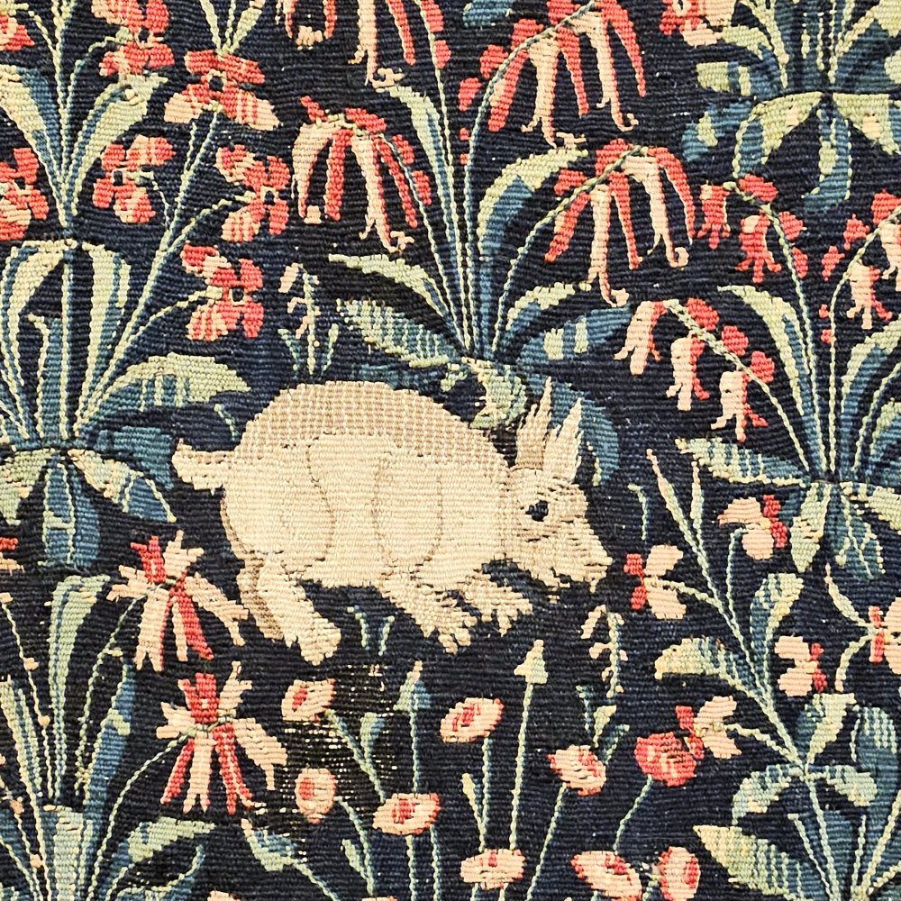 Lapin de corridor