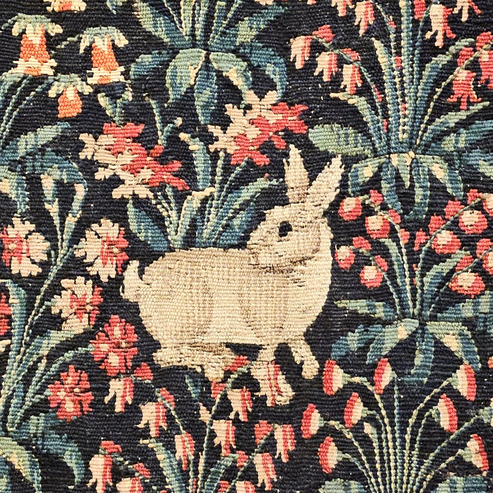 Lapin de corridor