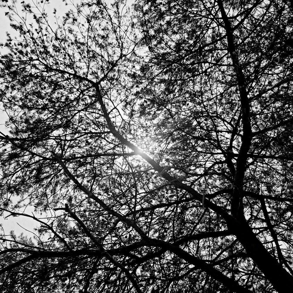 Long métrage