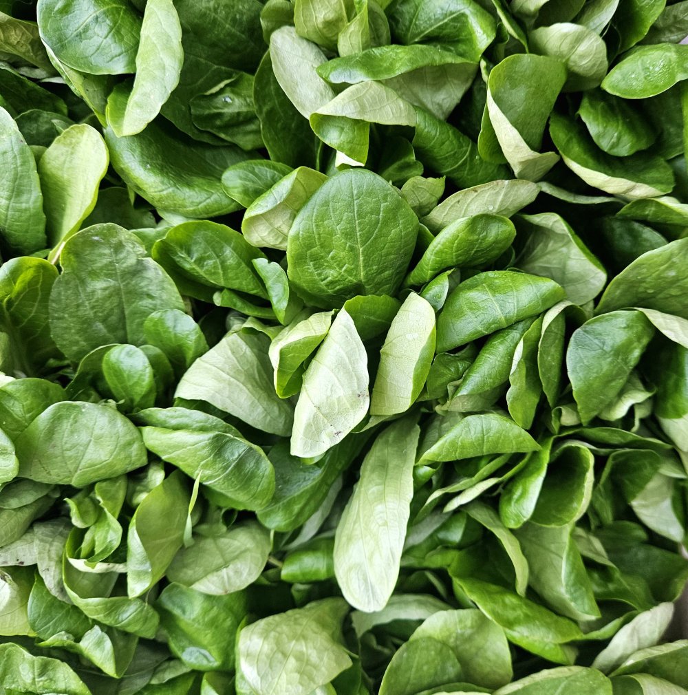 Remâcher son désenchantement