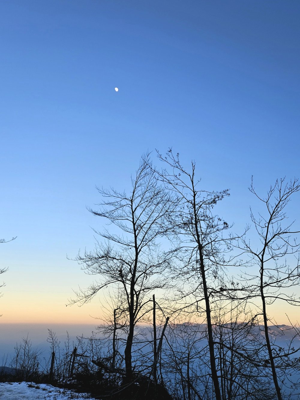 Pour se retrouver, il faut parfois s'égarer