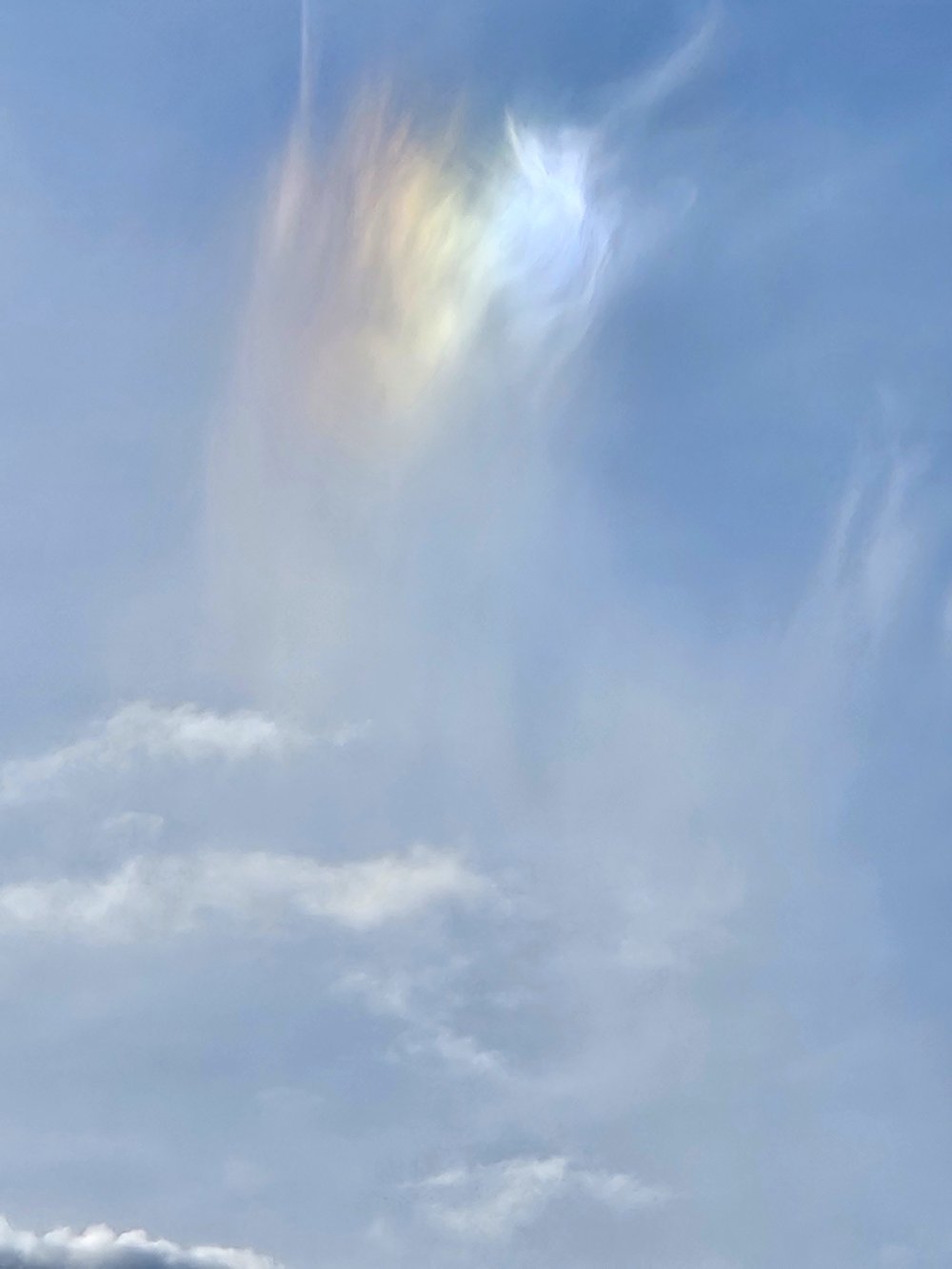 S'exercer à la gratitude