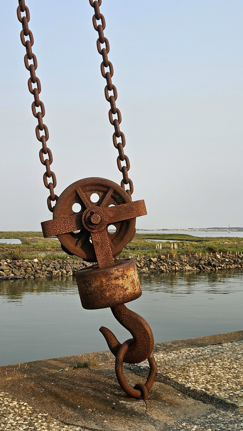 Le bruit du port et l'immuable cri des mouettes