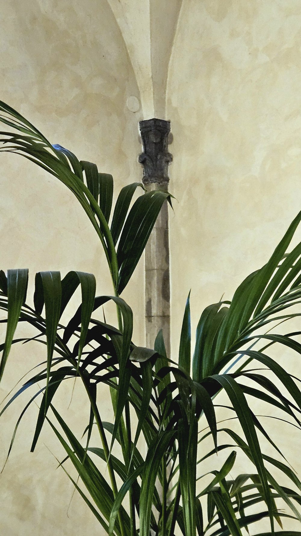 Détermination et humilité