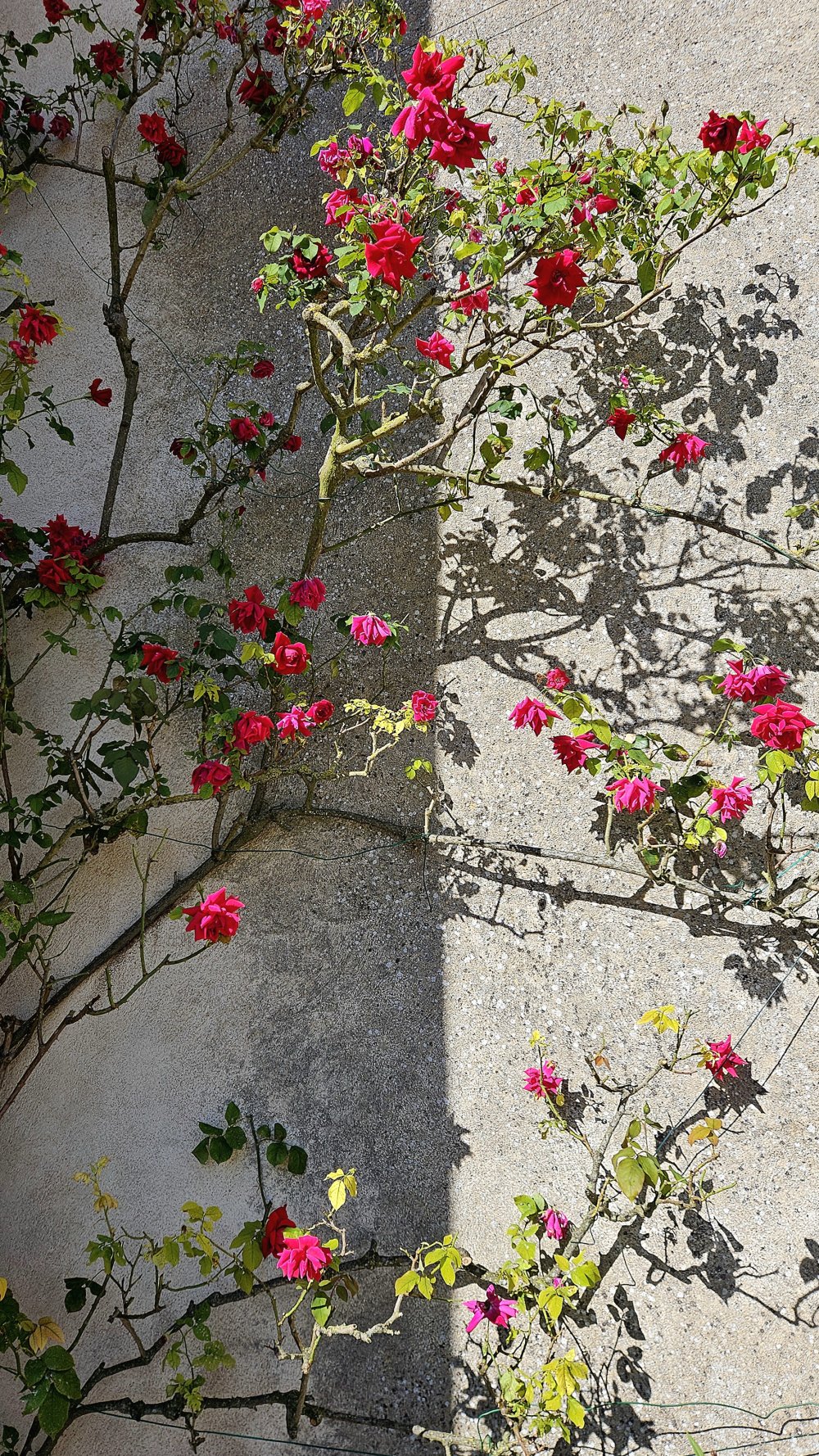 À moitié vide ou à moitié plein ?