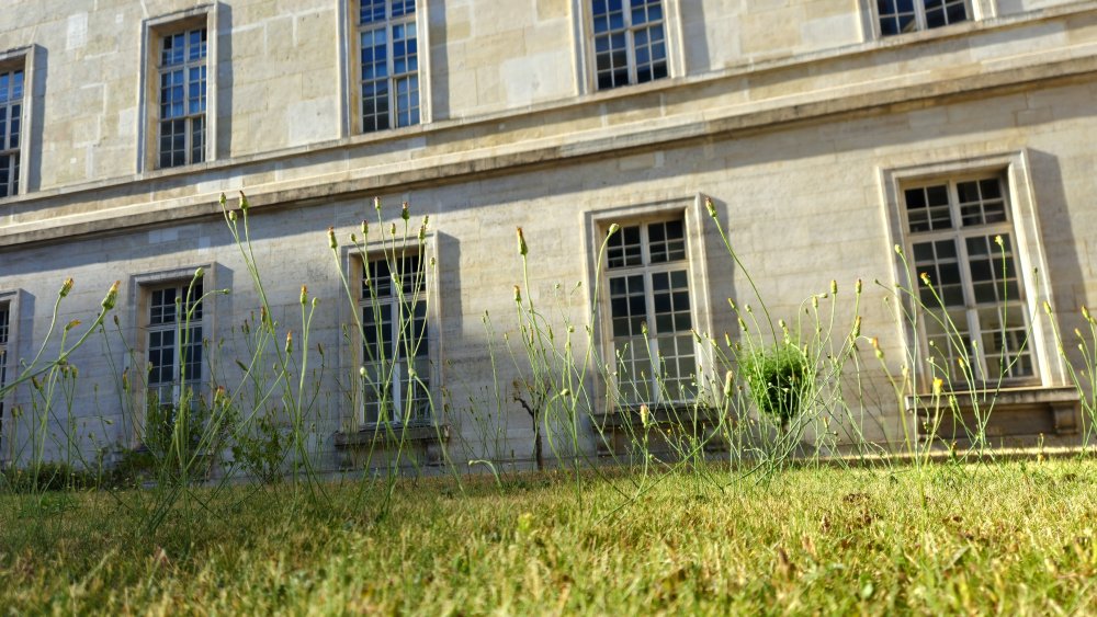 Redoubler d'humilité