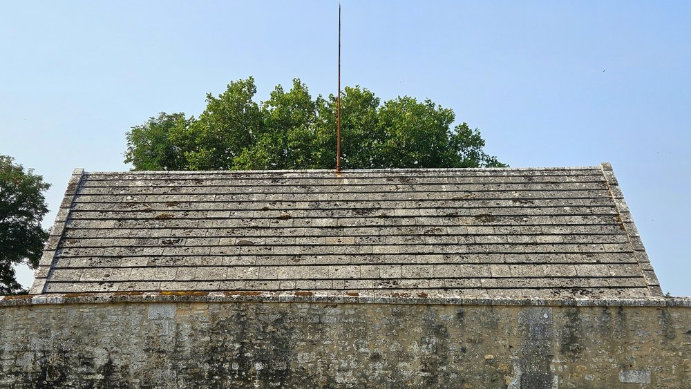 Phrénologie
