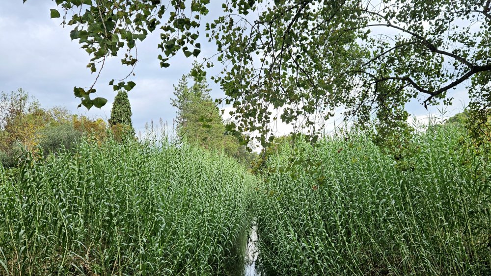 Finir n'est rien, tout éternellement commence.