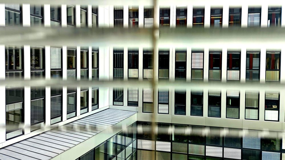 L'égalité devant la loi