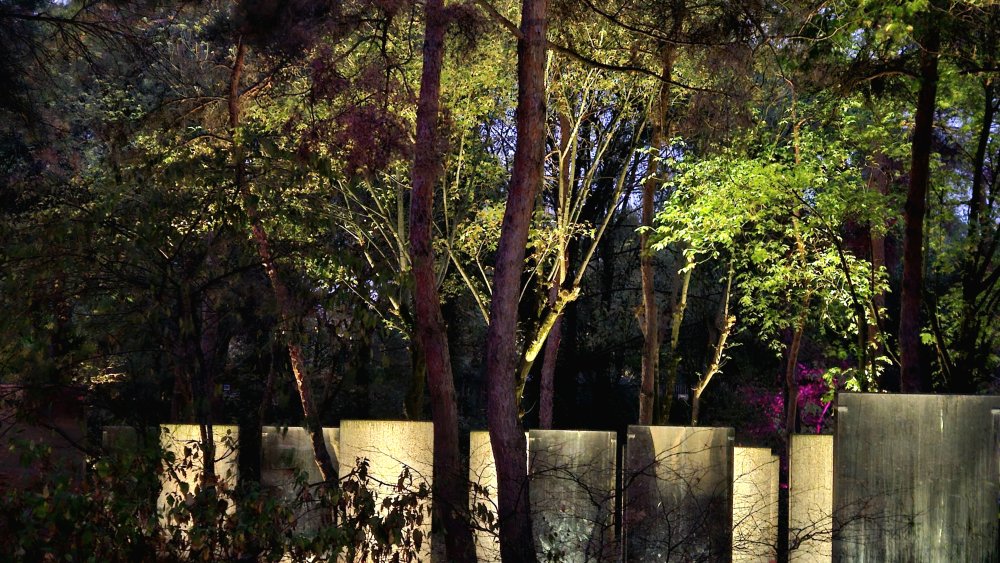 Motivations primitives