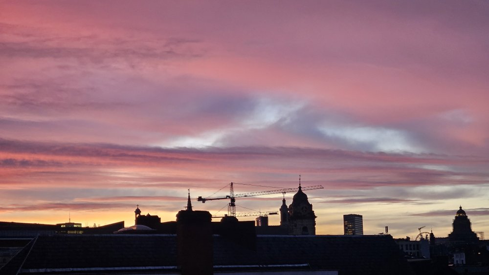 L'homme est sur terre pour contempler le ciel