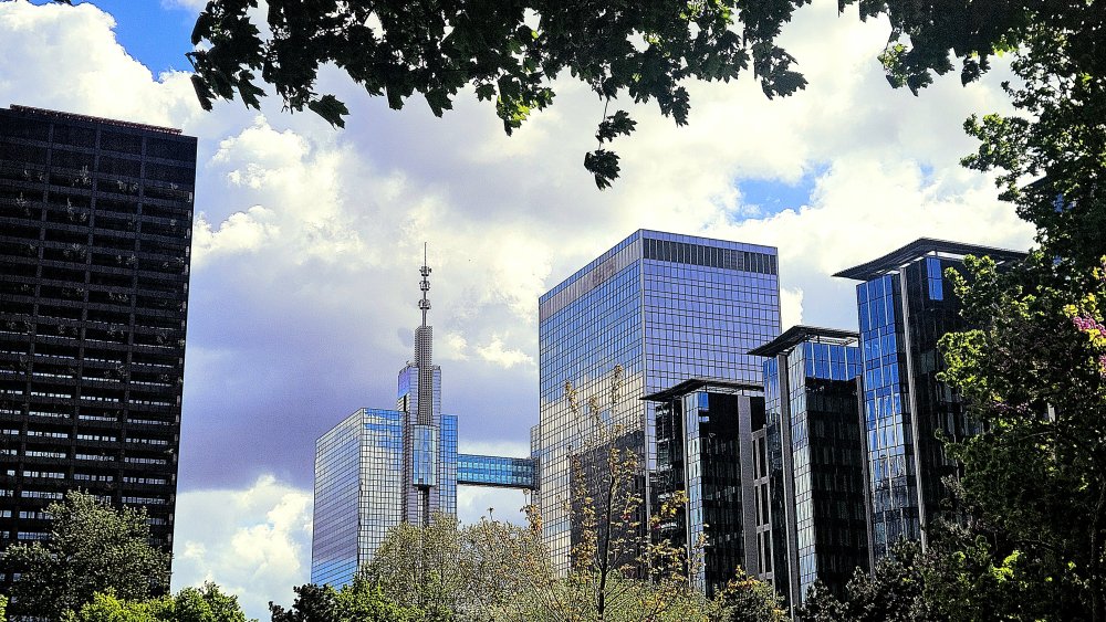 Délicate guipure des flèches des lagunes