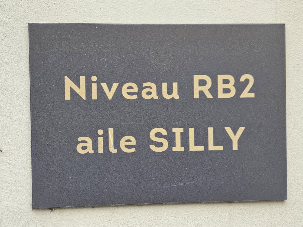 Aile Silly