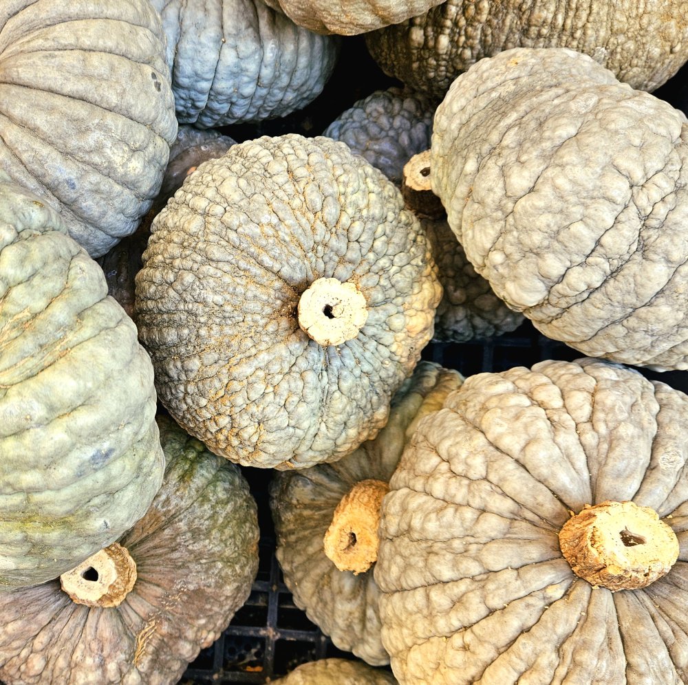 Encore du temps avant l'aube