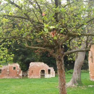 Disposé à devenir plutôt qu'à perdurer