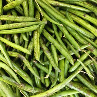 Eve, vers où versent ces vers verts ?