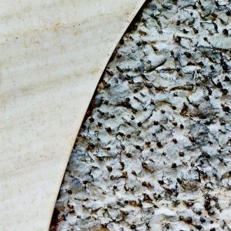 Versatile loi d'airain