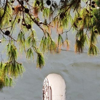 À l'aune du présent