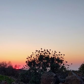 The Limits to Growth (dans un monde fini)