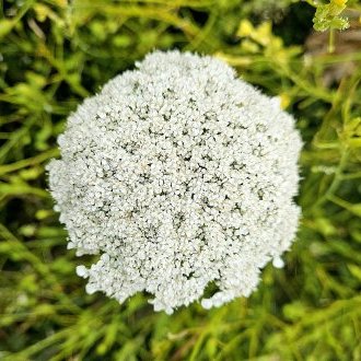 À la semaine prochaine