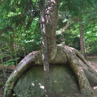 Sans départ, sans terme et sans promesse