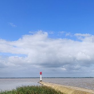 Terminaison nerveuse