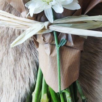 Accord de libre-échange