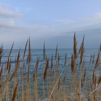 Seuls les poids plume soulèvent le ciel